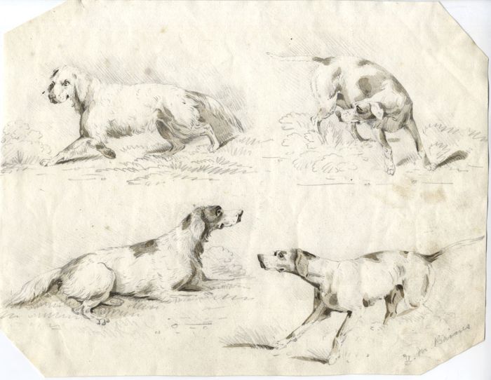 Hewley Mortimer Baines - 19th Century India Ink, Studies of Hounds