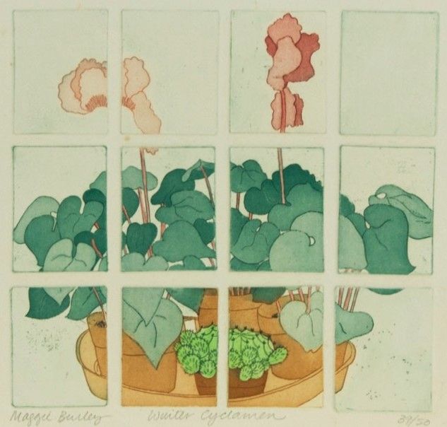 Maggie Burley  - Contemporary Etching, Winter Cyclamen