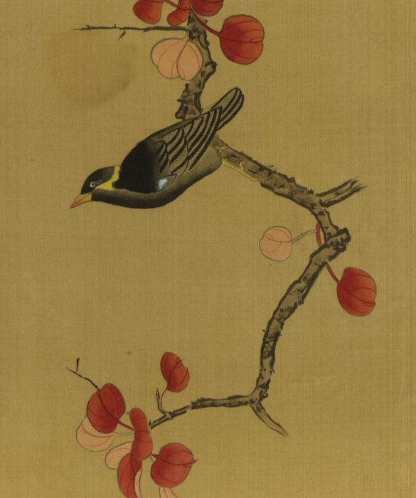 20th Century Watercolour - Bird on a Blossom Branch