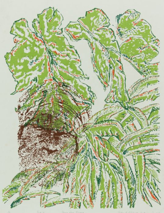 Aisla C. McColville Oxline - 1985 Lithograph, Papua New Guinea