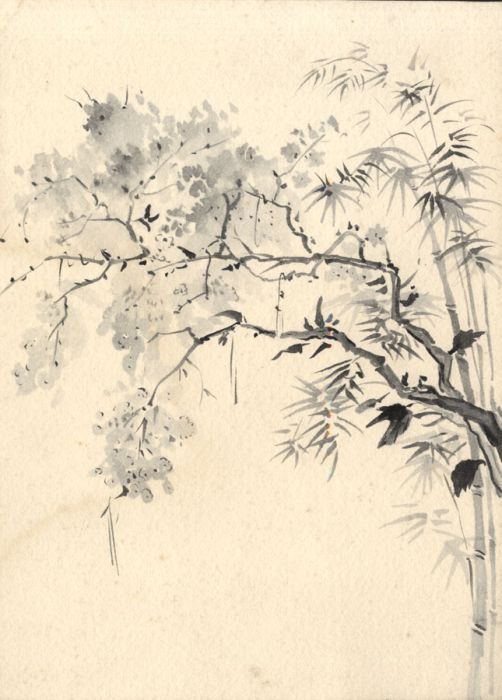 Georg Mayer-Marton - Monochrome Mid 20th Century Watercolour, Study of a Tree