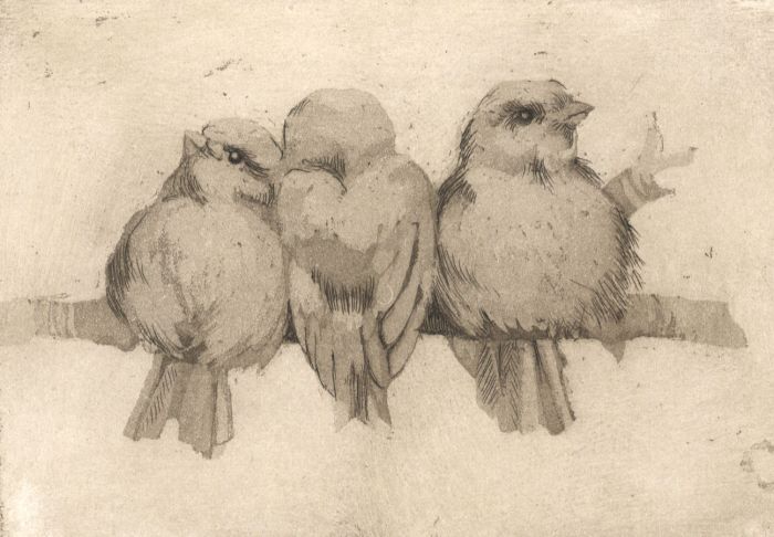 Amy Elise Princep - 20th Century Etching, Birds on a Branch