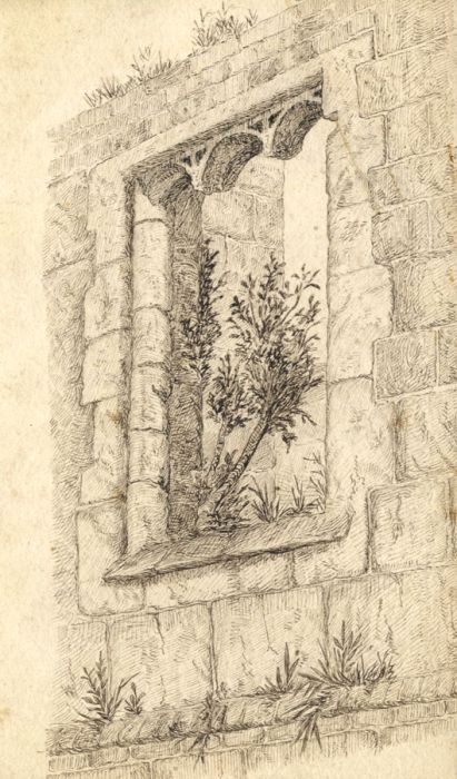Early 20th Century Pen and Ink Drawing - Growing on the Wall