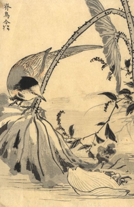 Japanese Mid 20th Century Japanese Woodblock - Study of a Bird