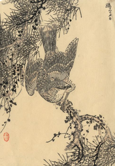 Japanese Mid 20th Century Japanese Woodblock - Study of a Bird