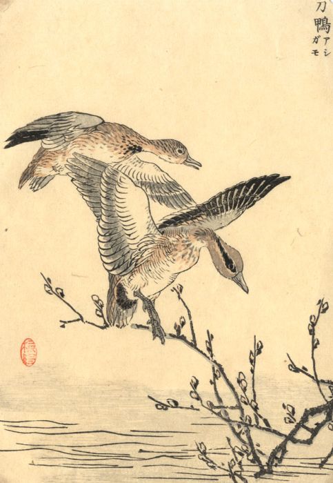 Japanese Mid 20th Century Japanese Woodblock - Birds