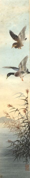 Japanese Contemporary Watercolour - Study of Birds