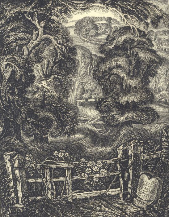 After Robin Tanner - 1989 Etching, The Old Road: Elegy for the English Elm I