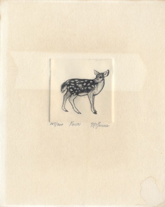 Christine Mcginnis - Limited Edition Contemporary Etching, Fawn
