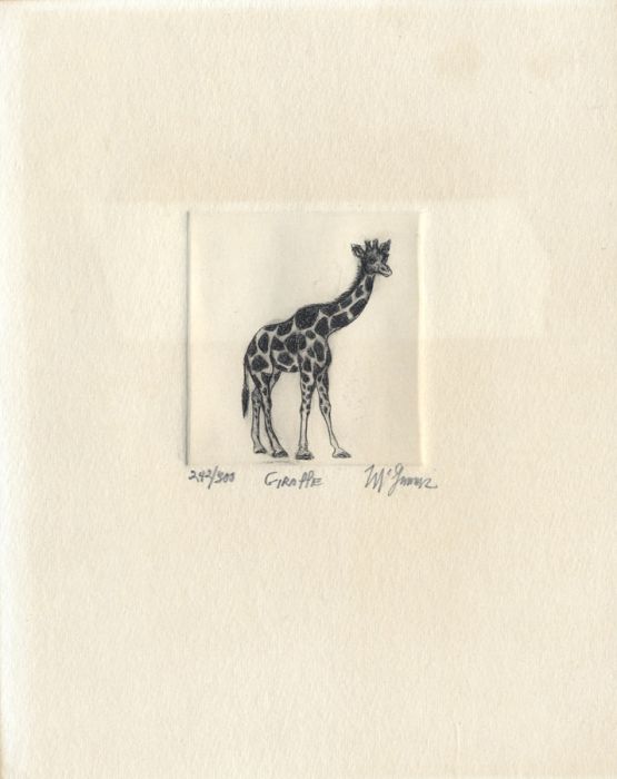 Christine Mcginnis - Limited Edition Contemporary Etching, Giraffe