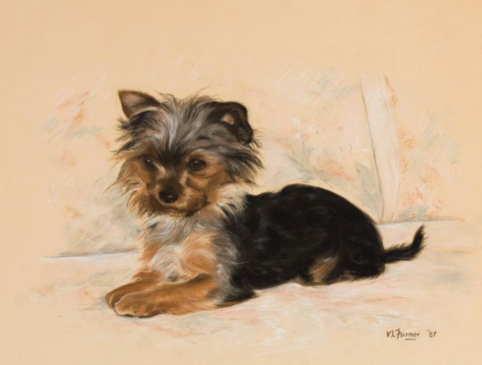 V.L. Farmer - Signed 1987 Pastel, Seated Puppy