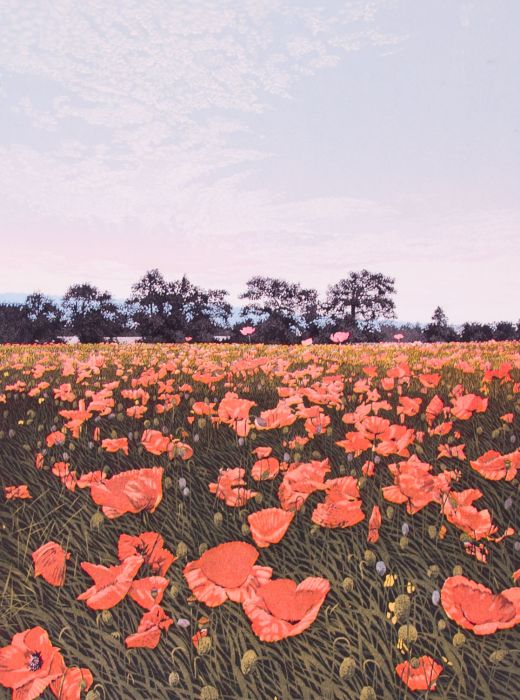 Graham Evernden (b.1947) - Signed Contemporary Aquatint, Field Poppies