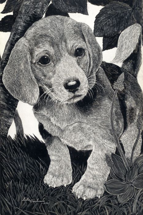 Leslie Winchcombe - 1970 Linoprint, Study of a Beagle Puppy