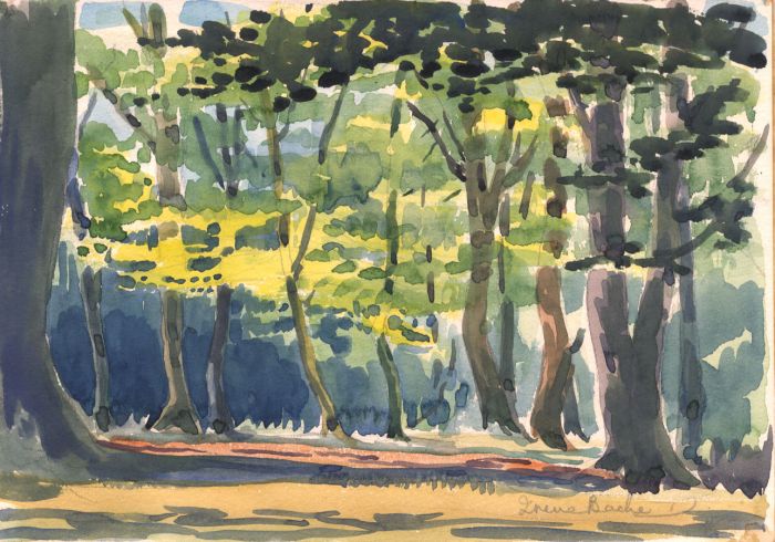 Irene Bache (1901-1999) - 1940 Watercolour, Woodland Landscape