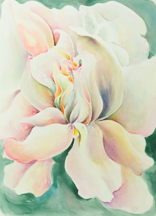 Grace Rice - 2011 Watercolour, Floral Still Life