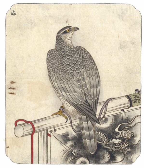 Fine Japanese 19th Century Watercolour - Hawk on a Perch