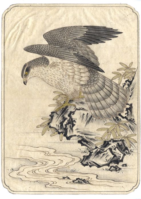 Fine Japanese 19th Century Watercolour - Hawk on a Rock by a River