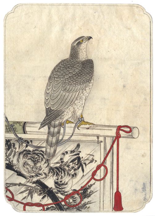 Fine Japanese 19th Century Watercolour - Hawk on a Perch