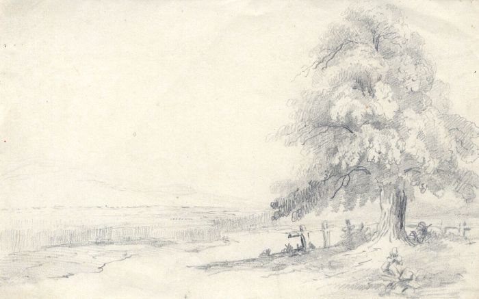 19th Century Graphite Drawing - Tree in a Landscape