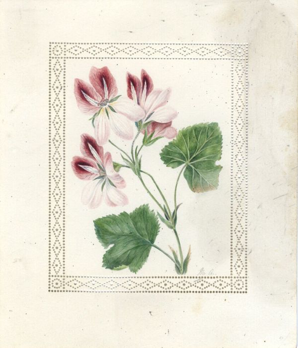 Late 19th Century Watercolour - Floral Still Life