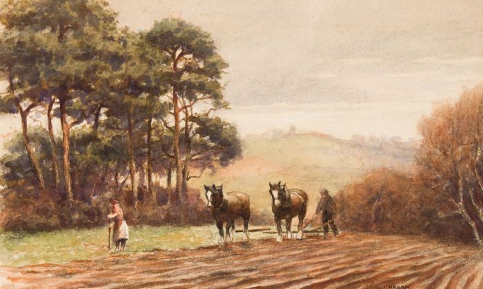 James Buchanan - 19th Century Watercolour, Plough Horses in a Field
