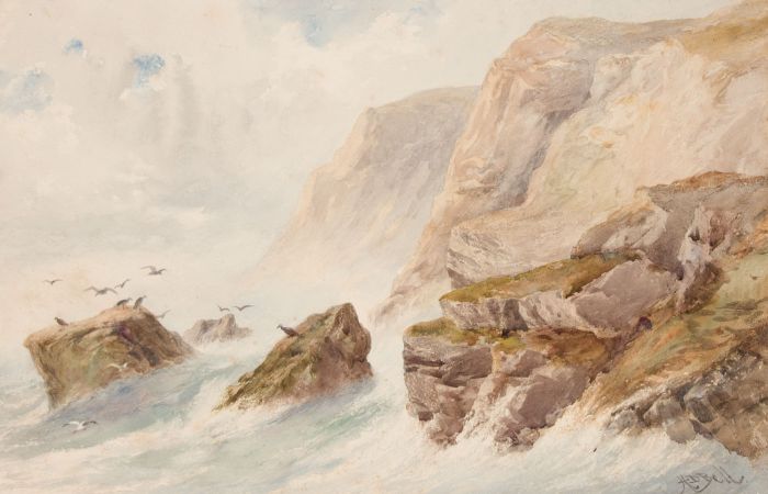 Hesketh Davis Bell (fl. 1849-1872)  - Watercolour, Rough Seas and Birds