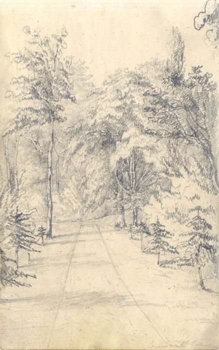 English School Mid 19th Century Graphite Drawing - Path in the Country