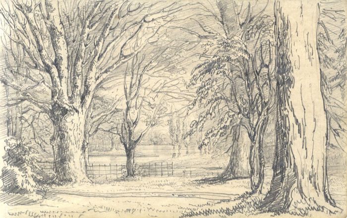 English School Mid 19th Century Graphite Drawing - Woodland Landscape
