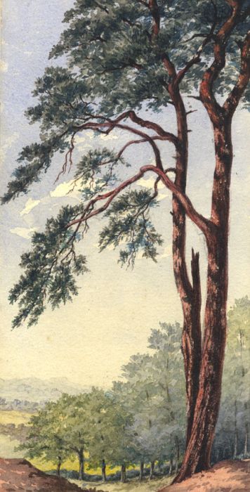 Mid 20th Century Watercolour - Hampstead Heath