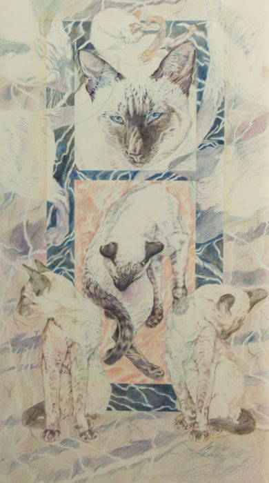 Lucy Su - Signed 1982 Coloured Pencil, Composition of Siamese Cats
