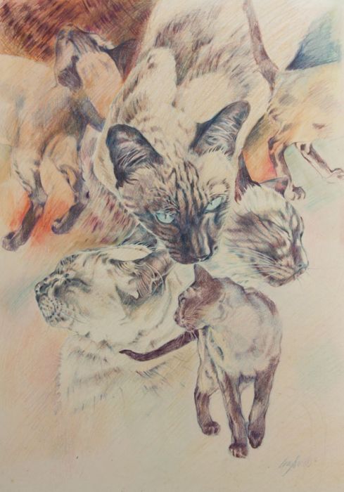 Lucy Su - Signed 1982 Coloured Pencil, Composition of Siamese Cats