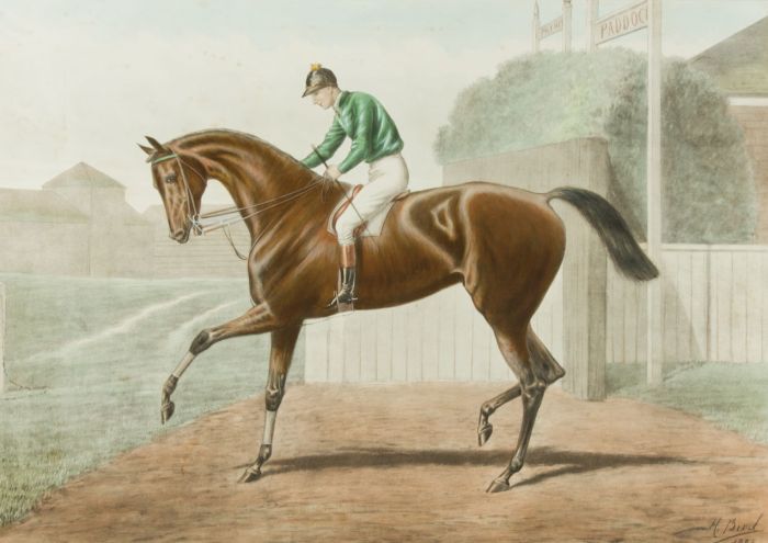 After Harry Bird - 1887 Lithograph, Equine Portrait of 'Merry Hampton'