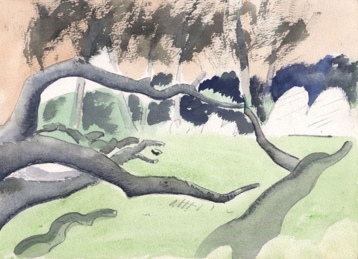 Gilbert Adams FRPS (1906-1996) - Mid 20th Century Watercolour, Branches