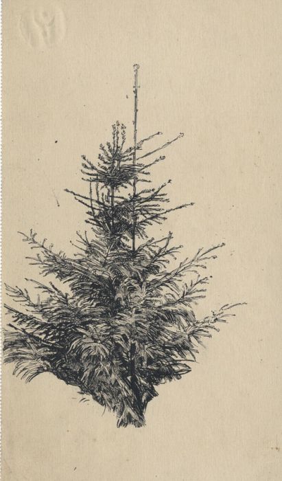 Mid 20th Century Pen and Ink Drawing - Tree Study