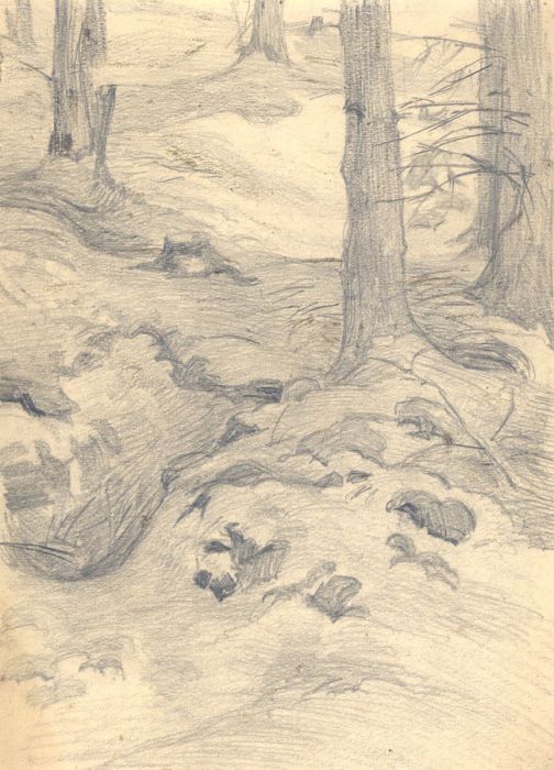 Hans James Berthold (b.1884) - Early 20th Century Charcoal Drawing, Woodland