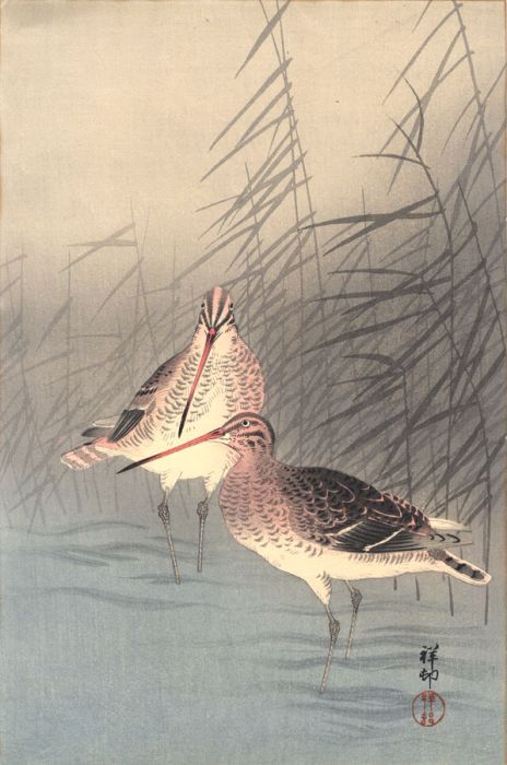 Koson Ohara (1877-1945) - 1926 Japanese Woodblock, Two Snipes
