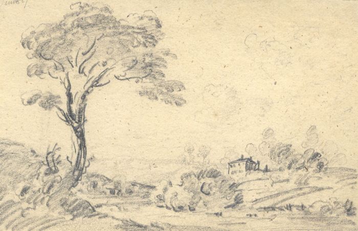 English School 1827 Graphite Drawing - Tree in a Landscape