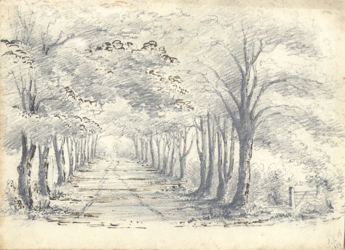 Attributed John Samuel Bowles - 1854 Graphite Drawing, Path Lined with Trees