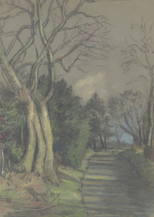 George William Collins (1863-1949) - Crayon, Woodland Landscape