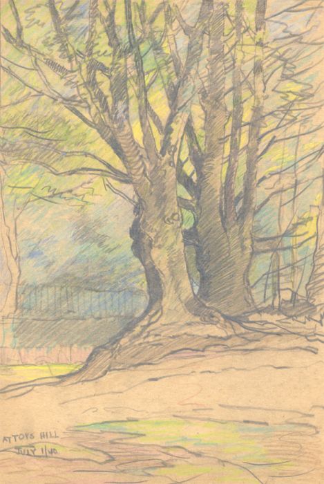 George William Collins (1863-1949) - 1940 Crayon, Trees at At Toys Hill