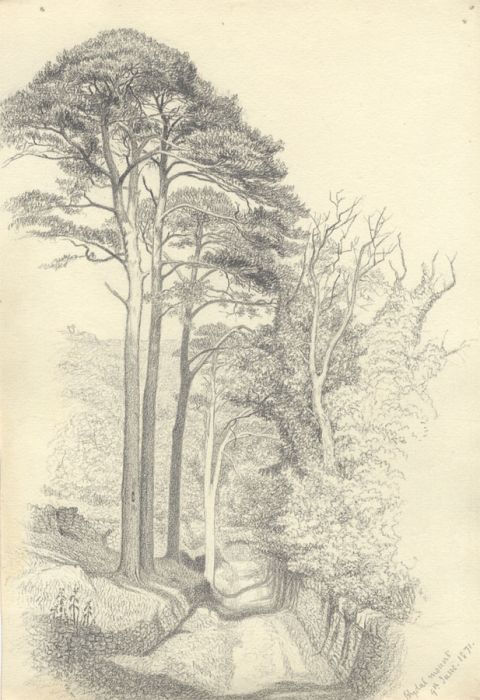 1871 Graphite Drawing - Rydal Mount