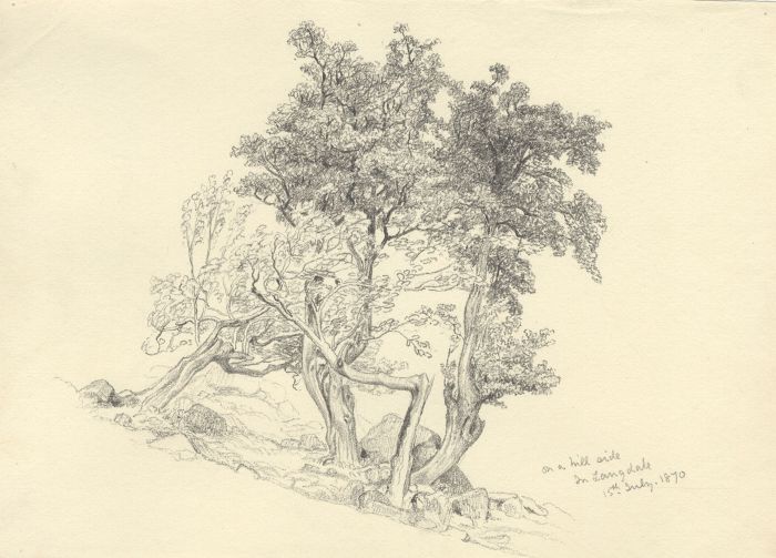 1870 Graphite Drawing - Hillside in Langdale