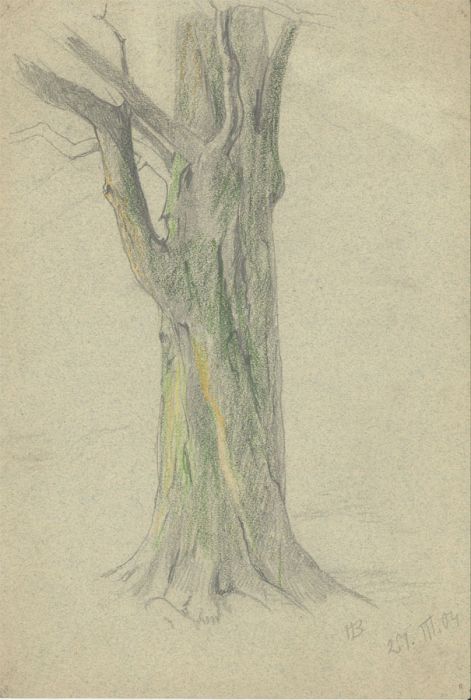 Hans James Berthold (b.1884) - Early 20th Century Graphite Drawing, Tree Study