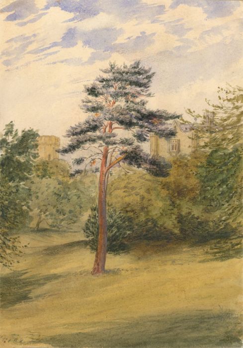 19th Century Watercolour - Garden View