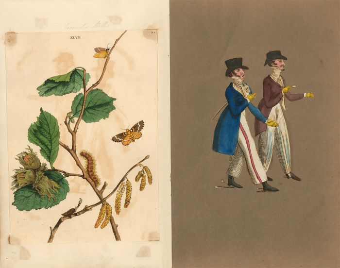 English School 19th Century Album - A Scrapbook of Prints