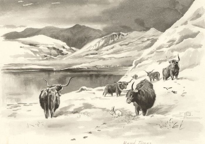 Alexander Blackwood - Late 19th Century Watercolour, Highland Cattle in the Snow
