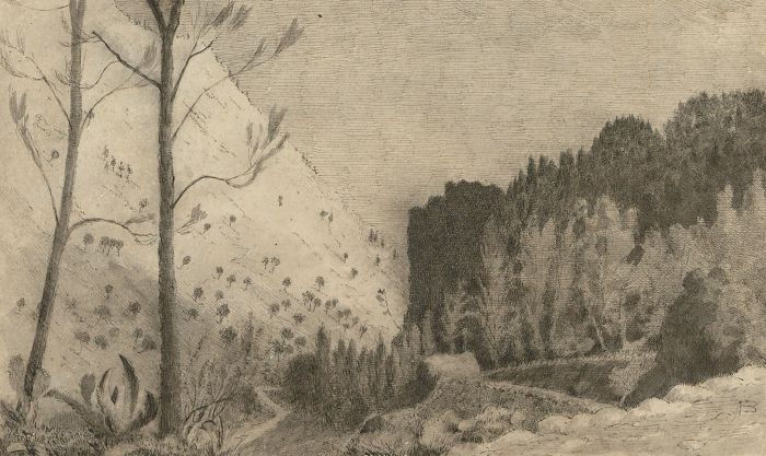 Alexander Blackwood - Late 19th Century Pen and Ink Drawing, Alpine Landscape