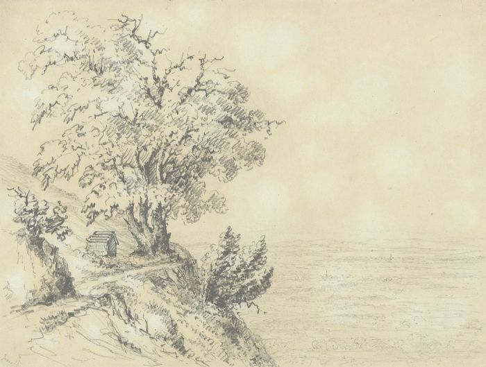 Attributed John Samuel Bowles - 1861 Graphite Drawing, The Old Ash Tree
