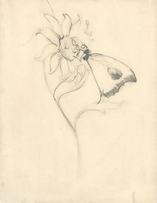 Hans James Berthold (b.1884) - Graphite Drawing, Flower and Butterfly