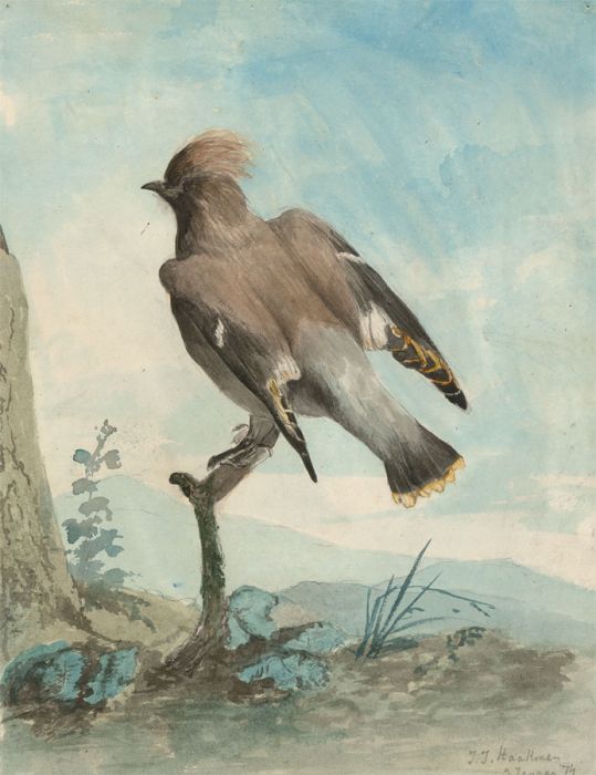 Jean Jacques Haakman - Signed 1874 Watercolour, Bird in a Landscape